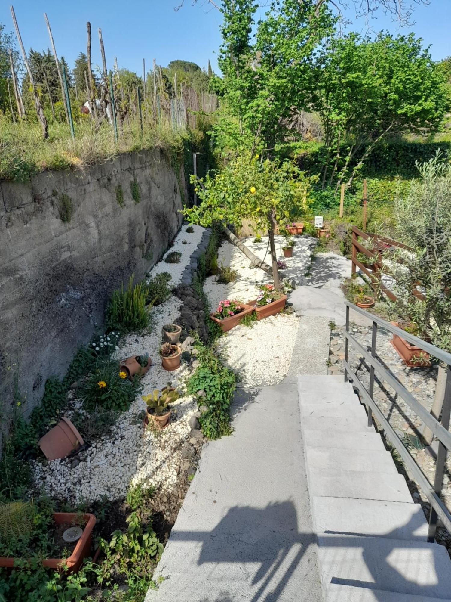 Villa Sikelia Etna House Zafferana Etnea Exterior foto